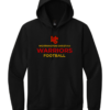 DT6100 Black Hoodie with full chest logo