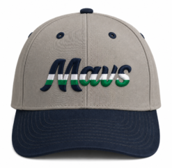 Columbus Mavericks HC4 Gray/Navy Pennant Snapback Hat with 3D Mavs on front