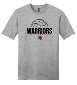 DT6000 Light Heather Gray Half Ball Logo